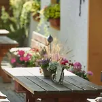 Alter Wirt Inn *
